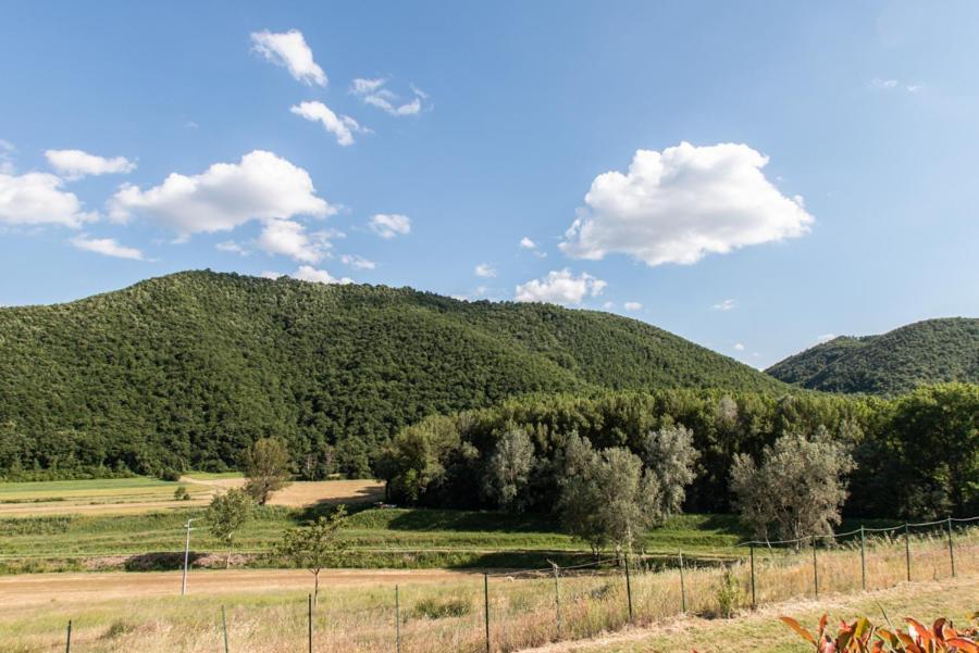 Montegabbione Il Colombaio Agriturismo מראה חיצוני תמונה