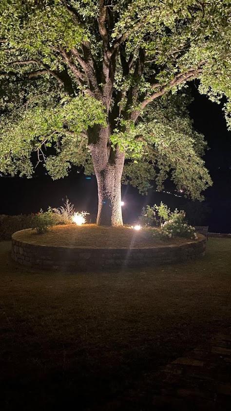 Montegabbione Il Colombaio Agriturismo מראה חיצוני תמונה