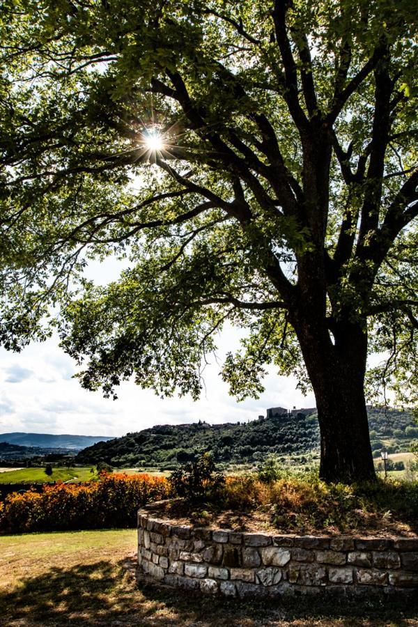 Montegabbione Il Colombaio Agriturismo מראה חיצוני תמונה